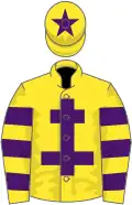 Yellow, purple cross of lorraine, hooped sleeves, star on cap
