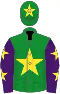 Green, yellow star, purple sleeves, yellow stars, green cap, yellow star