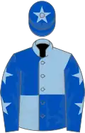 Light blue and royal blue (quartered), royal blue sleeves, light blue stars, royal blue cap, light blue star