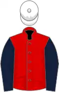 Red, dark blue sleeves, white cap