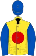 Yellow, red disc, royal blue sleeves and cap