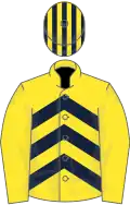 Yellow, dark blue chevrons on body, striped cap
