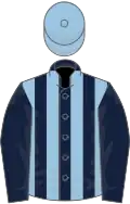 Dark blue and light blue stripes, dark blue sleeves, light blue cap
