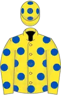 Yellow, royal blue spots