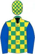 Emerald green and yellow check, royal blue sleeves