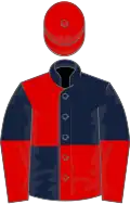 Dark blue and red quartered, halved sleeves, red cap