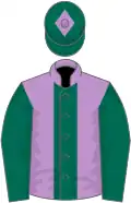 Mauve, dark green stripe and sleeves, dark green cap, mauve diamond