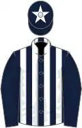 Dark blue and white stripes, dark blue sleeves, dark blue cap, white star