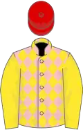 Pink and yellow diamonds, yellow sleeves, red cap