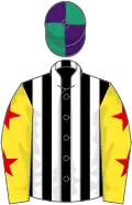 Black and white stripes, yellow sleeves, red stars, purple and emerald green quartered cap