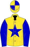 Yellow, blue star and sleeves, quartered cap
