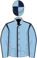 Light blue, dark blue seams, quartered cap