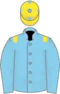Sky blue, yellow epaulets, yellow cap, blue stars