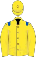 Yellow, royal blue epaulets
