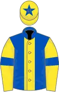 Royal blue, yellow stripe, yellow sleeves, royal blue armlets and star on yellow cap