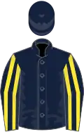 Dark blue, yellow striped sleeves