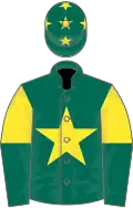 Dark green, yellow star, yellow and dark green halved sleeves, dark green cap, yellow stars