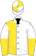 White and yellow (halved), halved sleeves, white and yellow quartered cap
