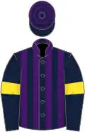 Dark blue and purple stripes, dark blue sleeves, yellow armlets, dark blue and purple hooped cap