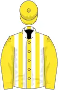 Yellow and white stripes, yellow sleeves and cap