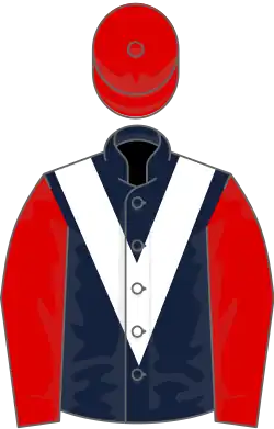 Dark blue, white chevron, red sleeves and cap