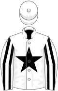White, black star, striped sleeves and stars on cap