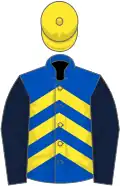 Royal blue, yellow chevrons, dark blue sleeves, yellow cap