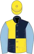 Dark blue and yellow (quartered), light blue sleeves, yellow cap