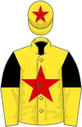 Yellow, red star, black and yellow halved sleeves, yellow cap, red star