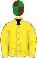 Yellow, brown and green quartered cap