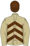 Beige and brown chevrons, beige sleeves, brown cap