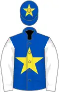 Royal blue, yellow star, white sleeves, royal blue cap, yellow star