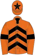 Orange, black chevrons, armlets and star on cap
