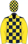 Dark blue and yellow check, yellow sleeves