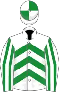 White, green chevrons, striped sleeves, quartered cap