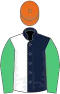 Dark Blue and White (halved), Emerald Green sleeves, Orange cap