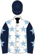 White, light blue stars, dark blue sleeves, light blue stars, dark blue cap