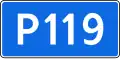 R119