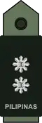 Philippine Army (Kalakan/Teniente coronel)