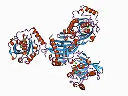 1a2k: GDPRAN-NTF2 COMPLEX