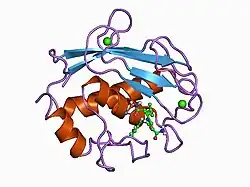 1a85: MMP8 WITH MALONIC AND ASPARAGINE BASED INHIBITOR