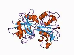 1a8f: HUMAN SERUM TRANSFERRIN, RECOMBINANT N-TERMINAL LOBE