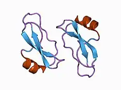 1aap: X-RAY CRYSTAL STRUCTURE OF THE PROTEASE INHIBITOR DOMAIN OF ALZHEIMER'S AMYLOID BETA-PROTEIN PRECURSOR