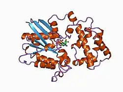 1as2: GDP+PI BOUND G42V GIA1