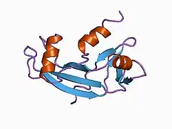 1b1j: CRYSTAL STRUCTURE OF HUMAN ANGIOGENIN VARIANT H13A.