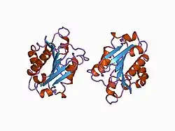 1bho: MAC-1 I DOMAIN MAGNESIUM COMPLEX
