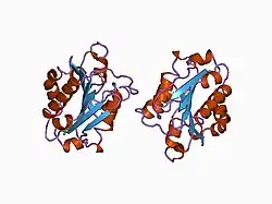 1bhq: MAC-1 I DOMAIN CADMIUM COMPLEX