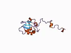 1c9q: AVERAGE NMR SOLUTION STRUCTURE OF THE BIR-2 DOMAIN OF XIAP