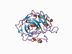 1cai: STRUCTURAL ANALYSIS OF THE ZINC HYDROXIDE-THR 199-GLU 106 HYDROGEN BONDING NETWORK IN HUMAN CARBONIC ANHYDRASE II