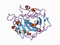 1cve: STRUCTURAL CONSEQUENCES OF REDESIGNING A PROTEIN-ZINC BINDING SITE